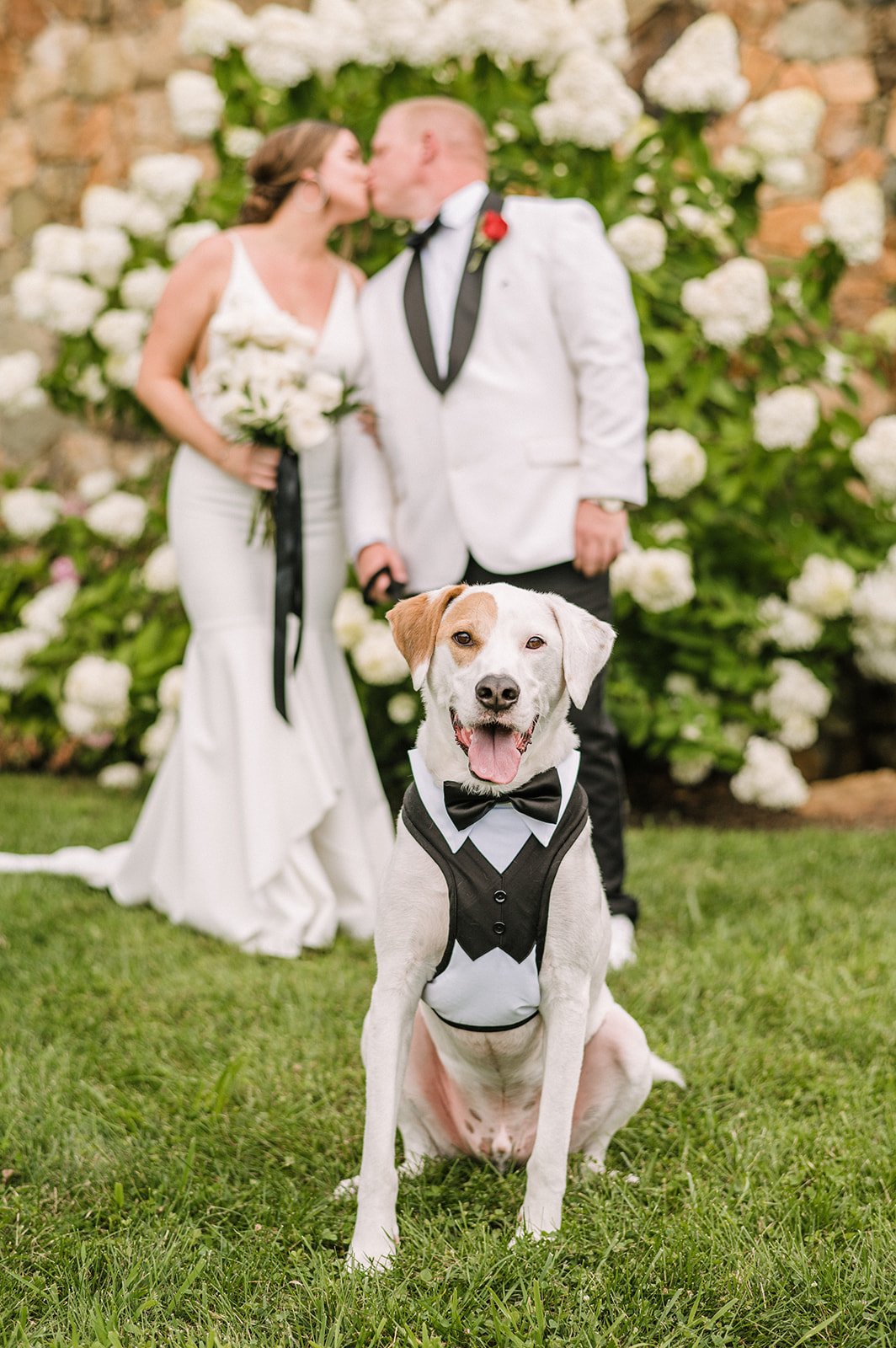 Vineyard wedding venues, Wedding Vineyards, Northern Virginia Wedding Photographer, Wedding Venues in Northern Virginia