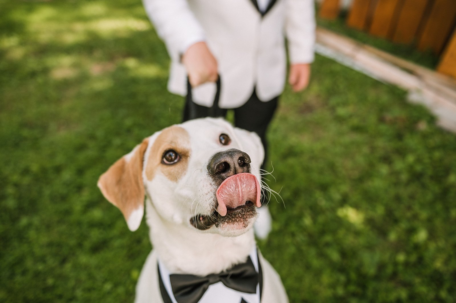 Vineyard wedding venues, Wedding Vineyards, Northern Virginia Wedding Photographer, Wedding Venues in Northern Virginia