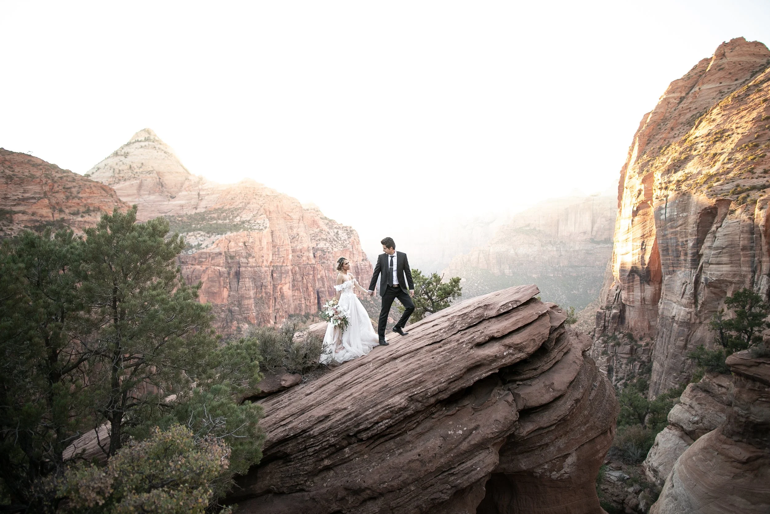 Zion National Park Overlook Elopement 